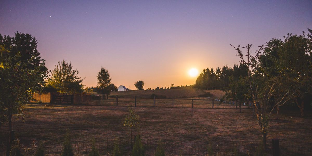 Homesteading Dreams Turning Self-Sufficiency into Reality